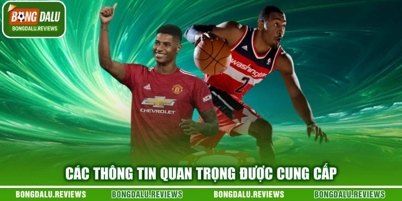 Các thông tin quan trọng được cung cấp